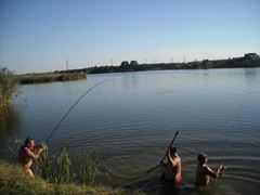 Cupa City Center-2010
